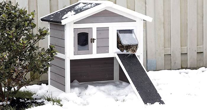 Insulated cat house