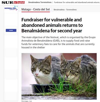Fundraiser for cats