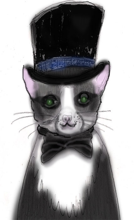 Mr. Tuxedo drawing by Janice Boling